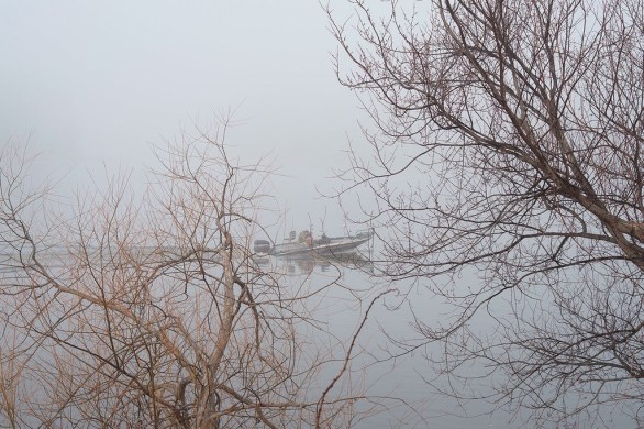 Drifless Jason Vaughn