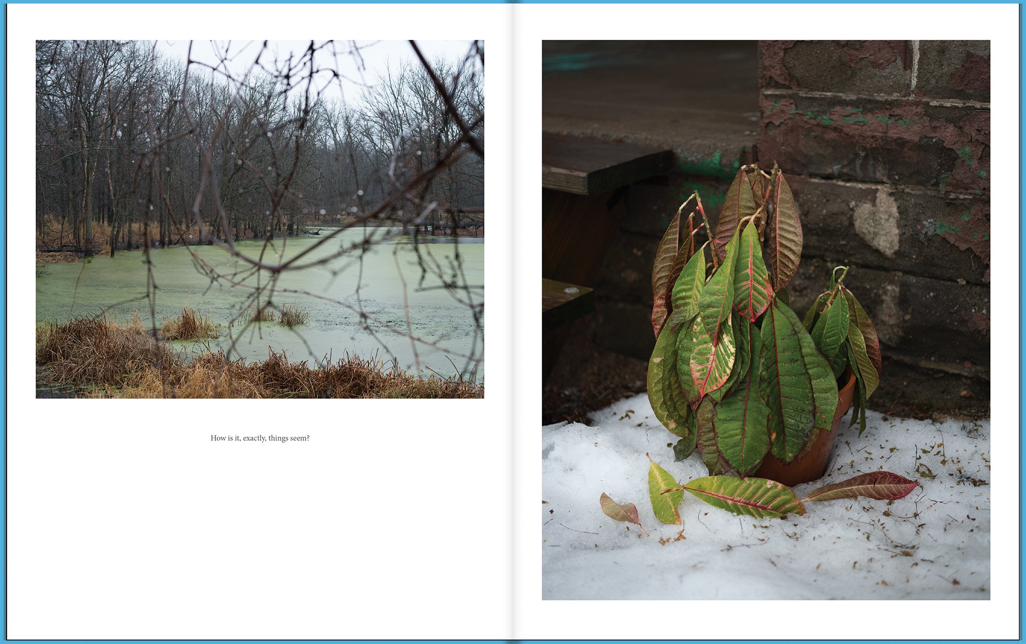 “Driftless,” by Jason Vaughn and Brad Zellar