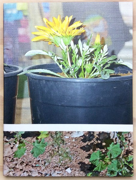 rooted henk wildschut