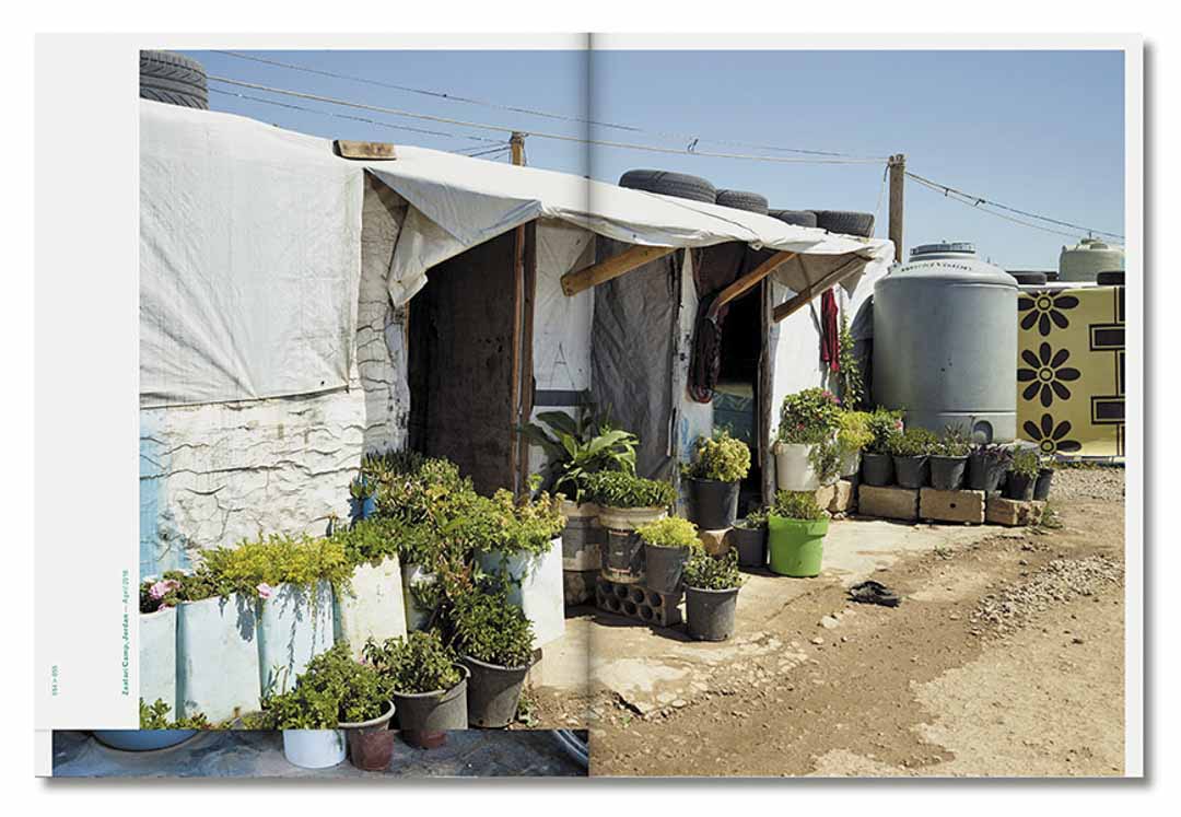 rooted henk wildschut