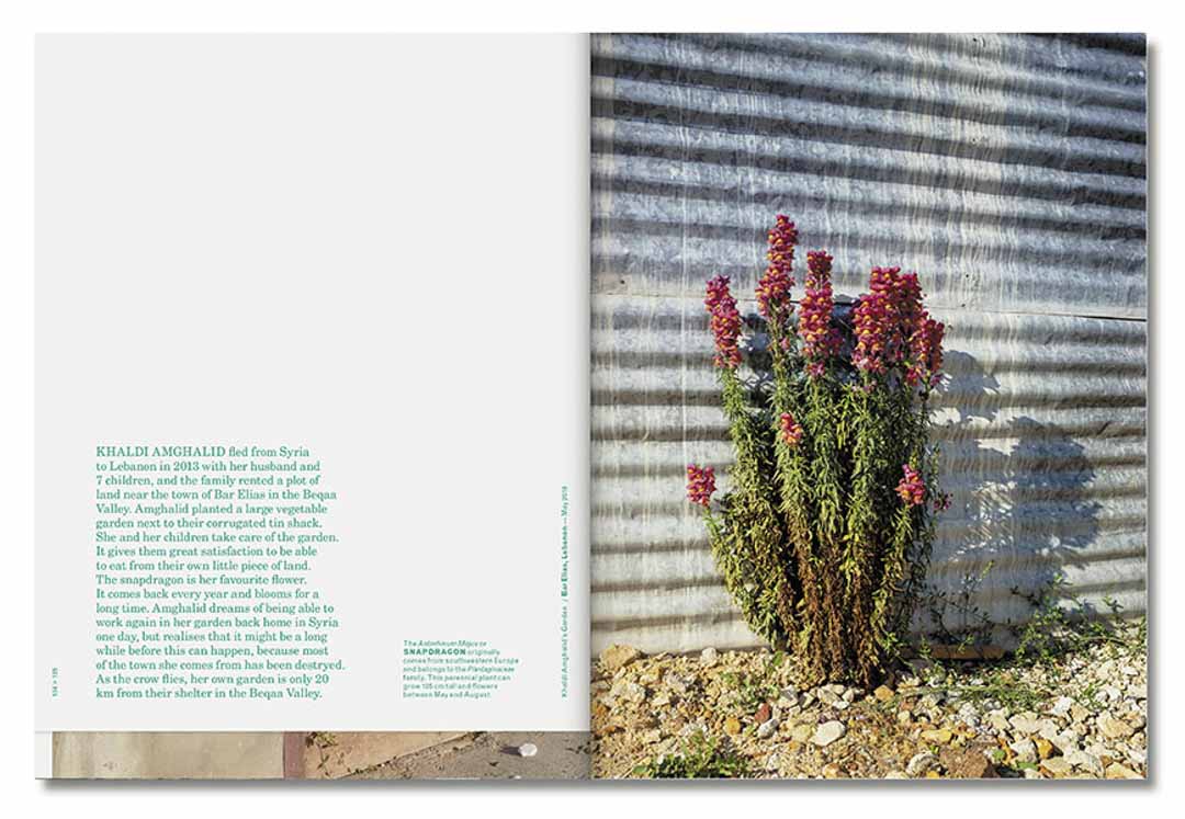 rooted henk wildschut 