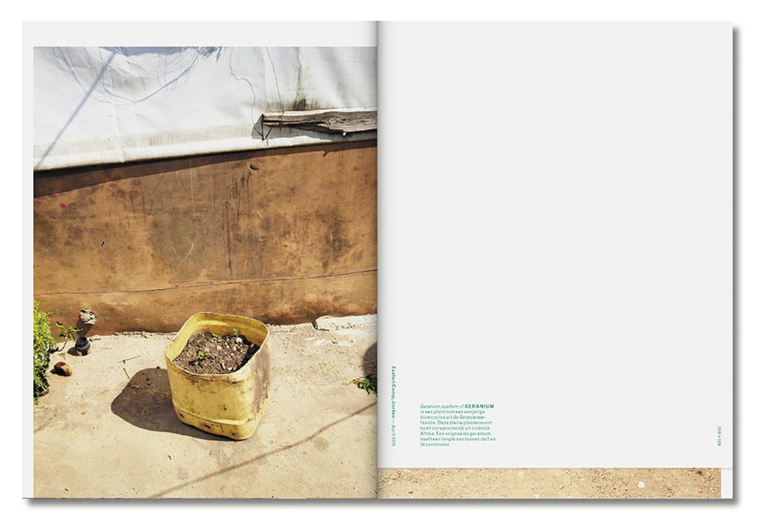 rooted henk wildschut 5