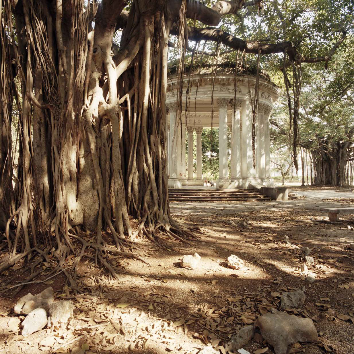 The Measure of the West Giovanni Chiaramonte 2