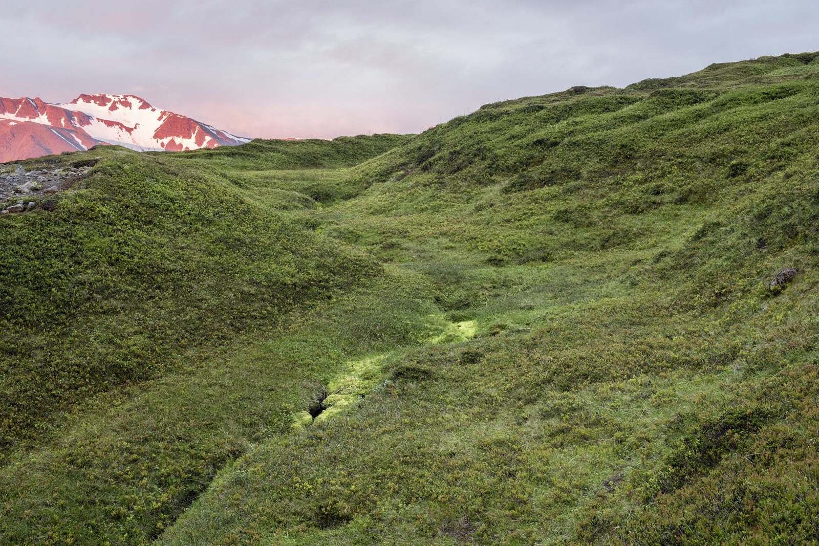 Bastiaan Van Arle 1:20
