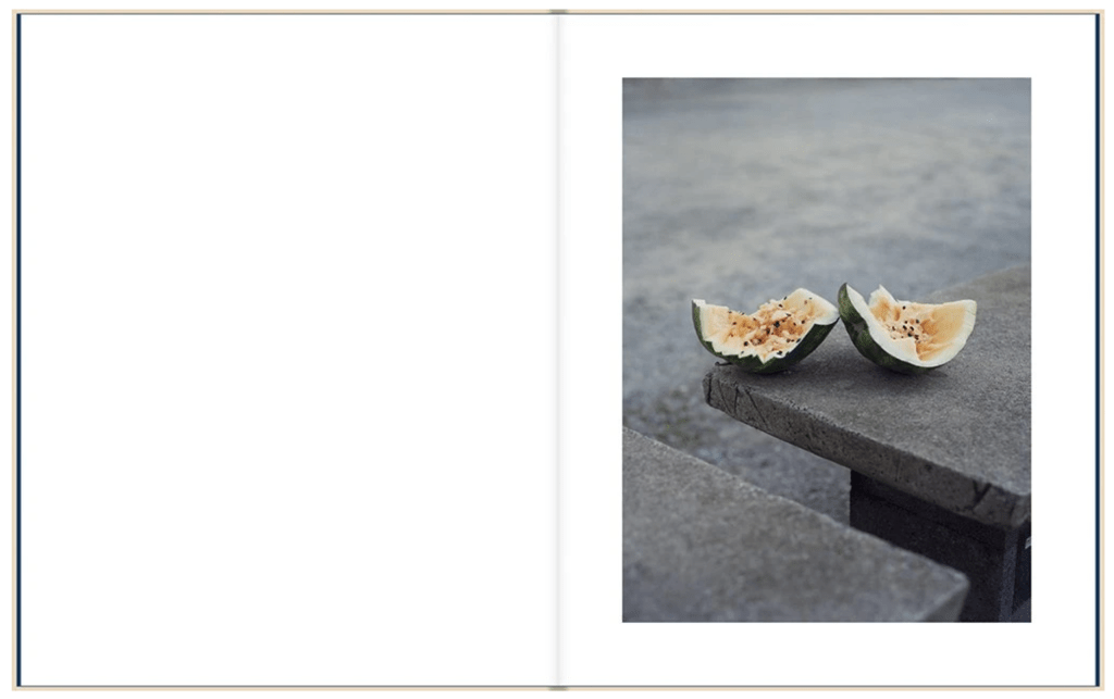 gregory halpern conderate moon