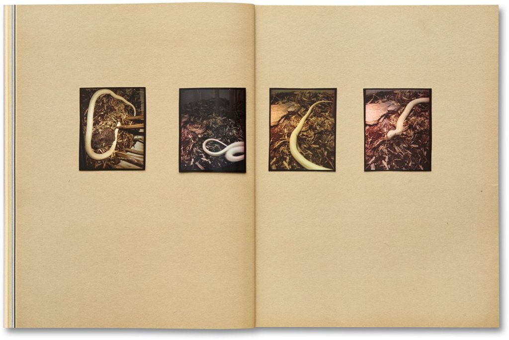 Gregory Halpern Omaha Sketchbook
