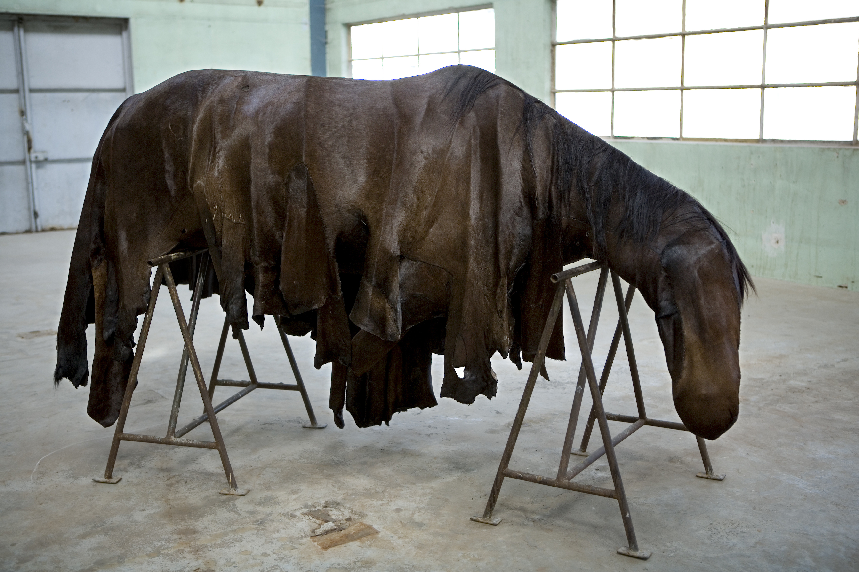 Berlinde De Bruyckere – An interview – Luca Fiore | Writing on