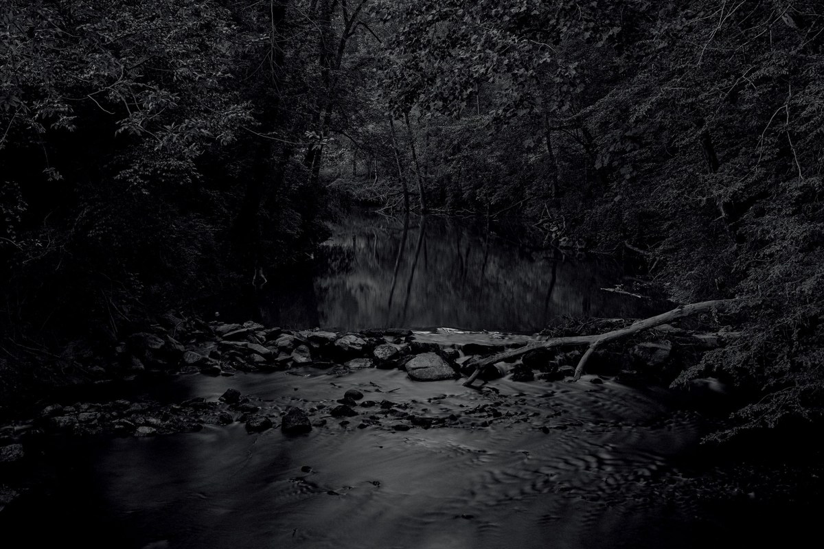 kristine potter dark waters