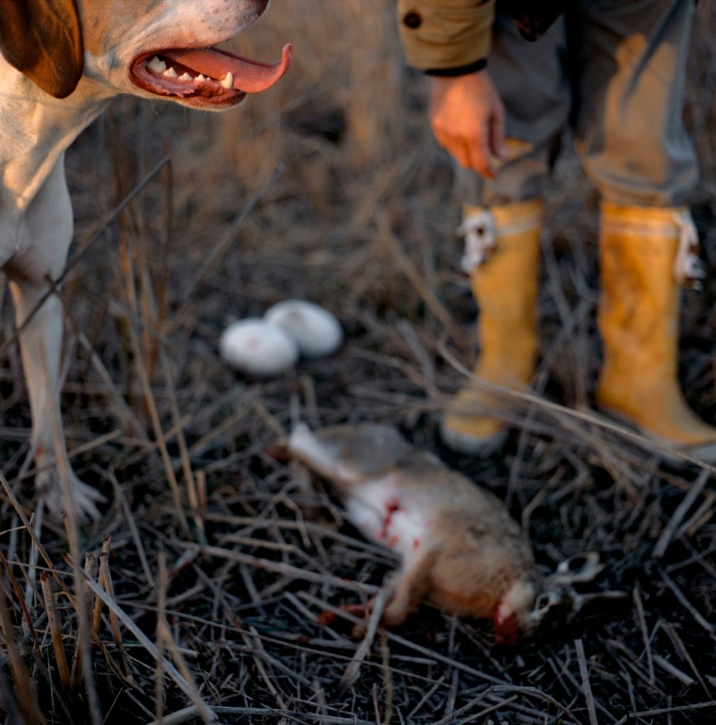 Alessandra Sanguinetti - On The Sixth Day