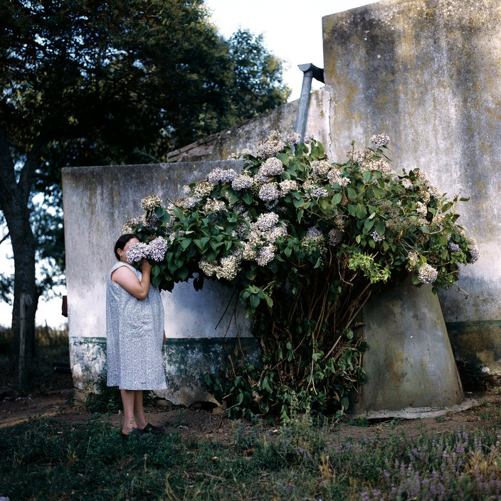 Alessandra Sanguinetti The Adventures of Guille and Belinda and The Enigmatic Meaning of Their Dreams