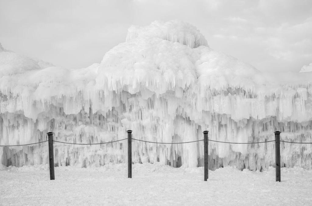 Alessandra Sanguinetti Some Say Ice