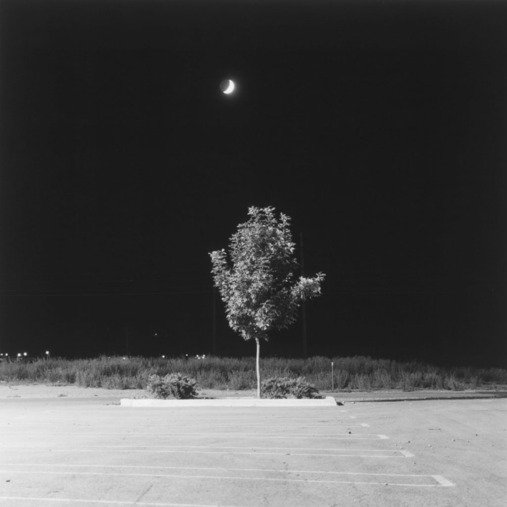 Robert Adams Summer Nights Walking Steidl 2023