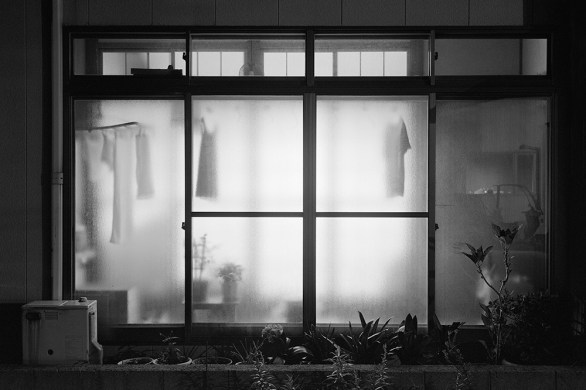 Awoiska van der Molen