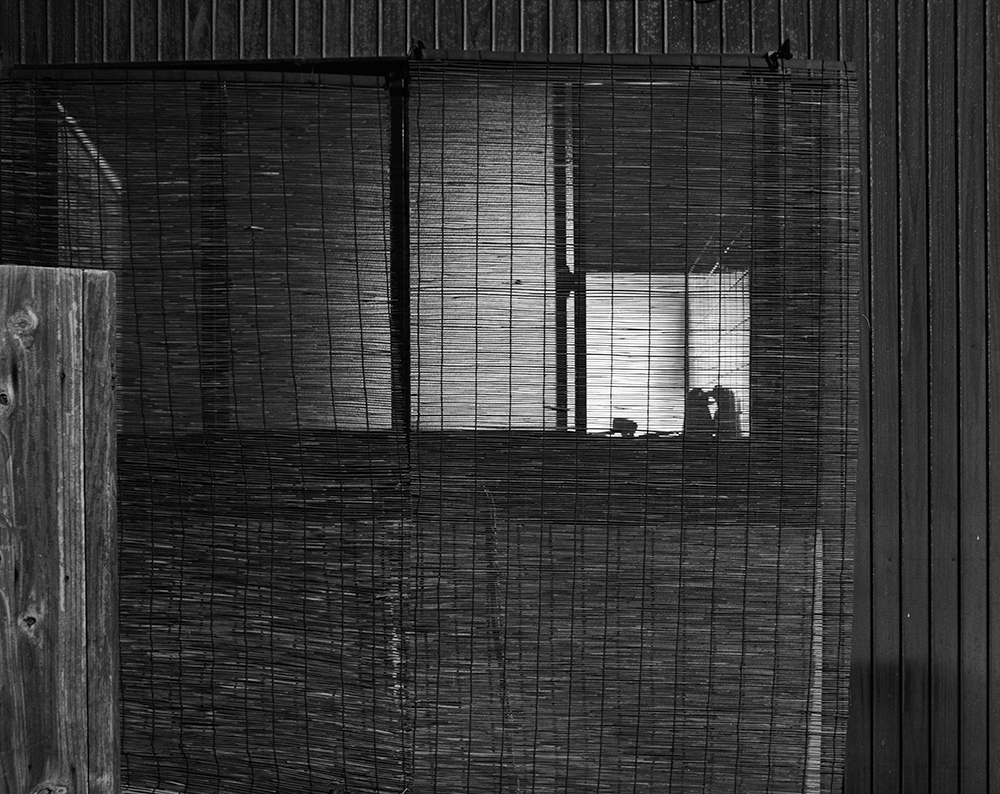 Awoiska van der Molen