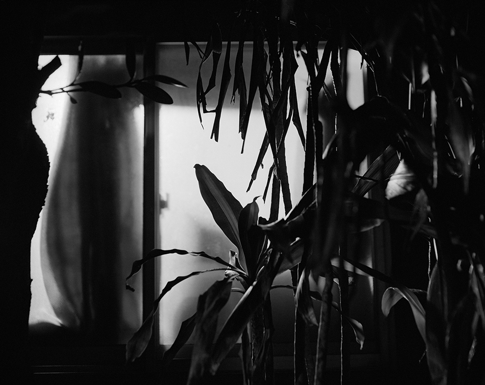 Awoiska van der Molen