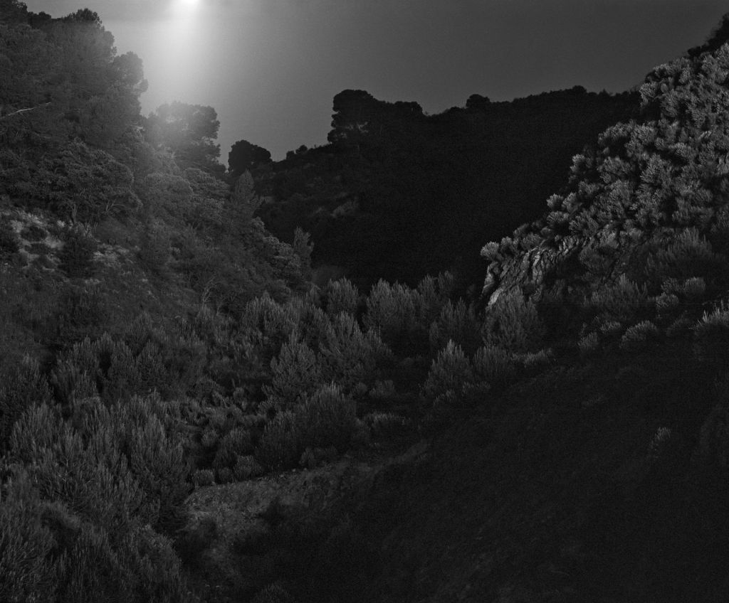 Awoiska van der Molen