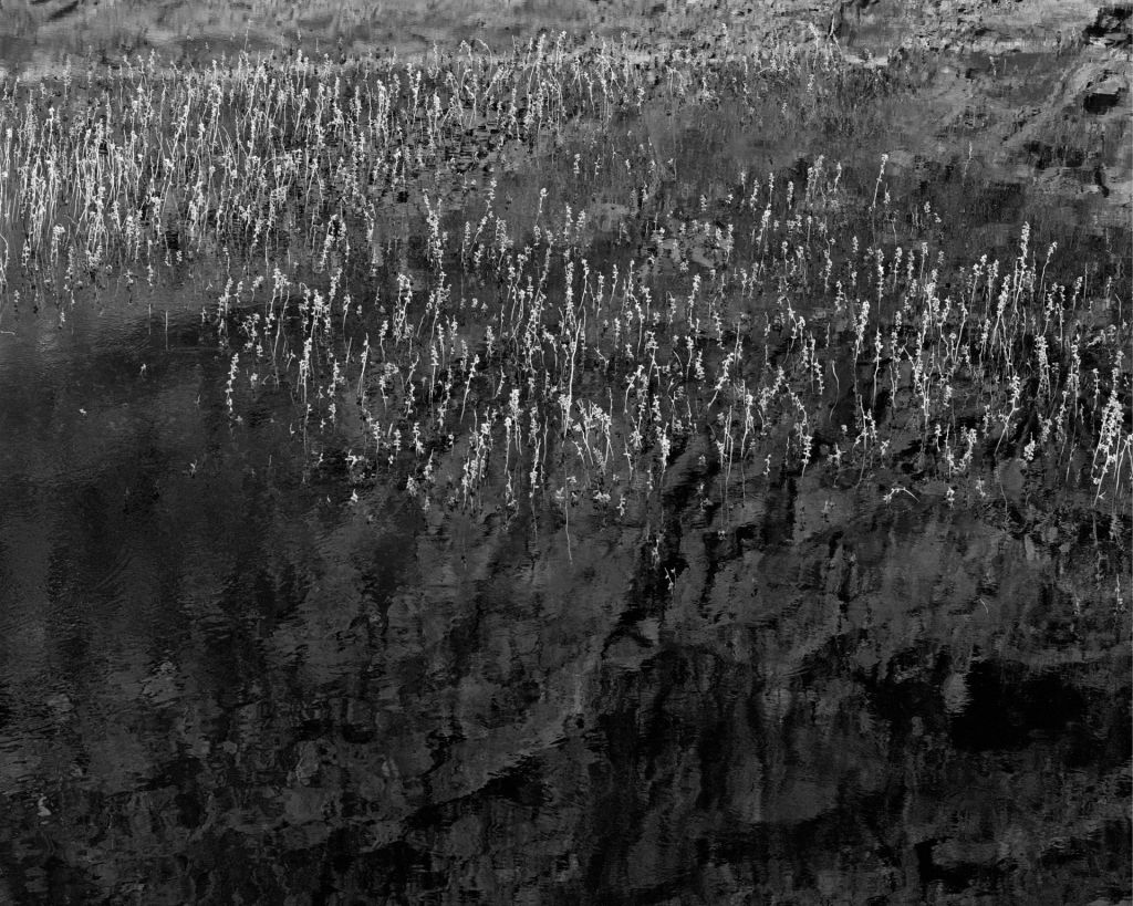 Awoiska van der Molen